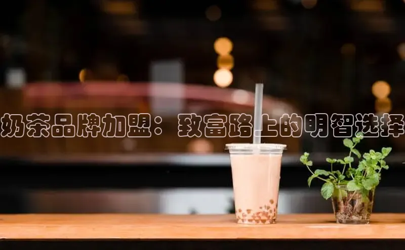 熊猫app下载文心一言