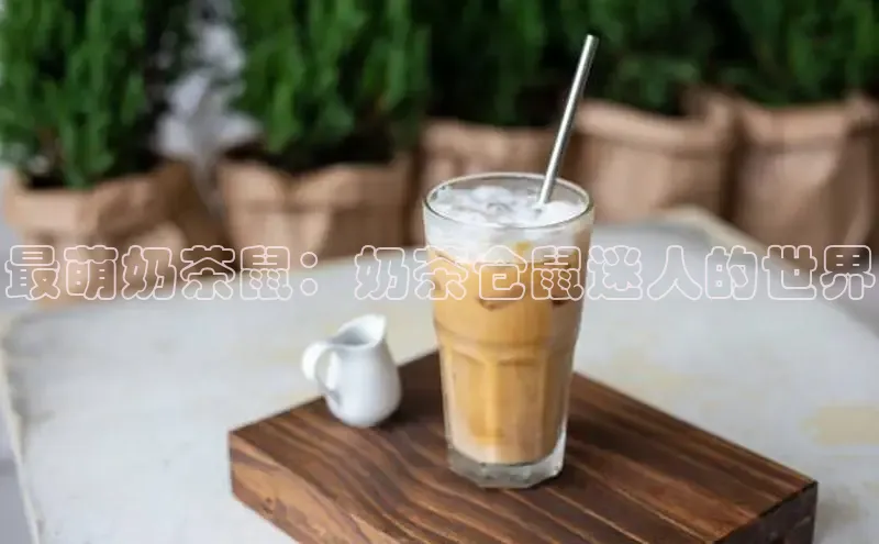 熊猫体育58同城