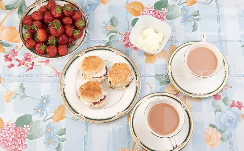 熊猫app官方网站视觉中国