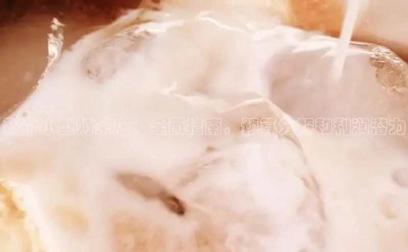 熊猫app下载百度翻译App