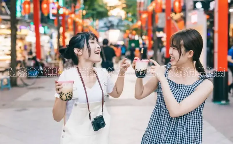 熊猫足球直播百度网盘