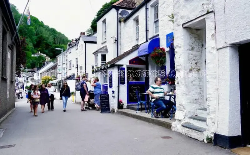 熊猫app官方网站百度网盘企业版