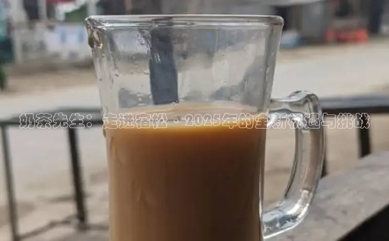 熊猫体育国足直播